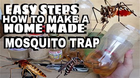 How To Make A Home Made Mosquito Trap Diy Quick And Easy Guide