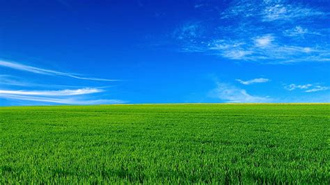 Hd Wallpaper Green Grass Field The Sky Landscape Horizon Nature
