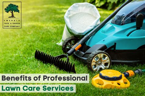 Benefits Of Professional Lawn Careservices Emerald Tree And Shrub Care