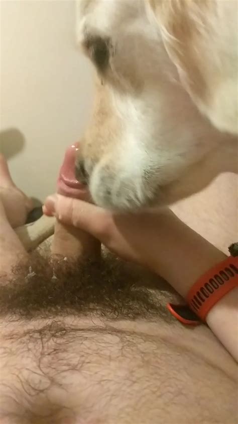 Dog Licks My Dick Till I Cum