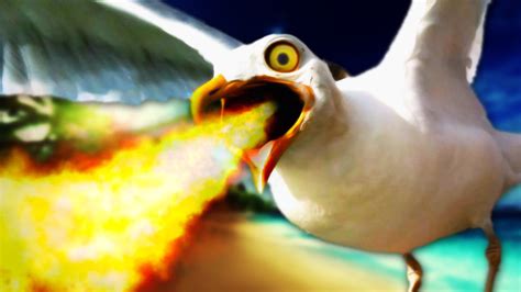 Fire Breathing Seagulls Youtube