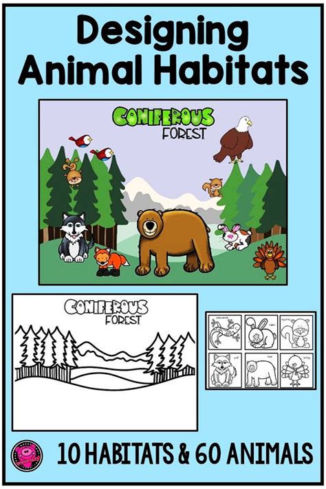 Animal Habitats First Grade Projects And Kindergarten Animal Habitat