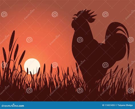Rooster Greeting Sunrise Stock Vector Illustration Of Orange 11651455