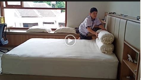 Afrikaans albanian arabic bengali chinese croatian czech danish dutch english finnish french german greek hindi hungarian icelandic indonesian. Life Skill "Membersihkan Ruang Tidur & Menyiram Tanaman"