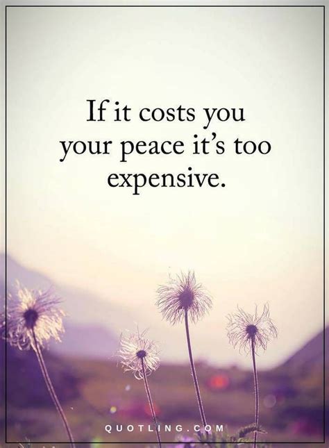 You create your state of mind by the things you do, and you cement that by the things you tell yourself. Inner Peace Quotes If it cost you your peace it's too expensive. | Inner peace quotes, Peace ...