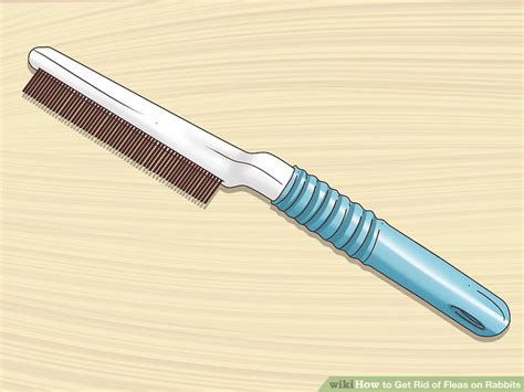 An ifc program eliminates existing fleas on pets, reduces populations of environmental stages, continues killing. How to Get Rid of Fleas on Rabbits: 9 Steps (with Pictures)