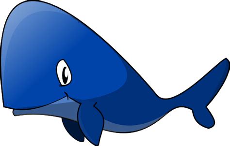 Cartoon Humpback Whale Clipart Free Download On Clipartmag