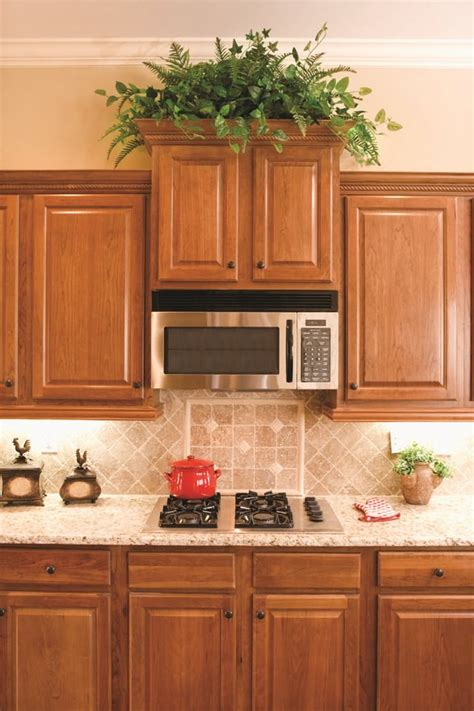 If you can't paint your builder grade oak kitchen, check out these great ideas to update oak kitchen cabinets in other ways! Best Kitchen Plants | Plants For Kitchen To Decorate It ...