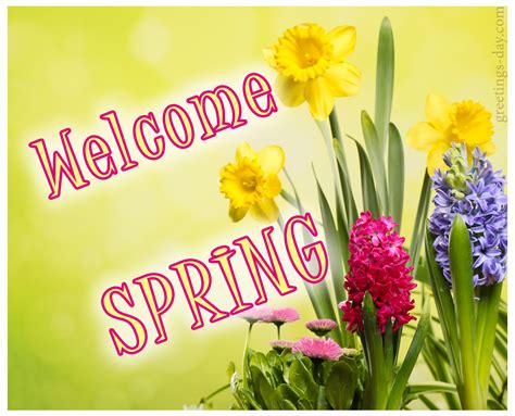 Greeting Cards For Every Day Welcome Spring 10 Amazing Pictures And Cards