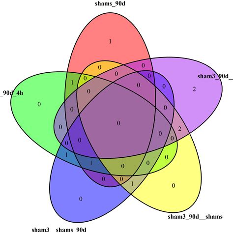 R How To Force The Labels To Fit In Venndiagram Share Best Tech