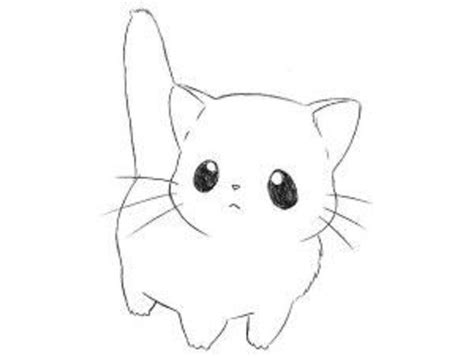 How To Draw Cute Cat Drawing For Starter Easy Tutorial