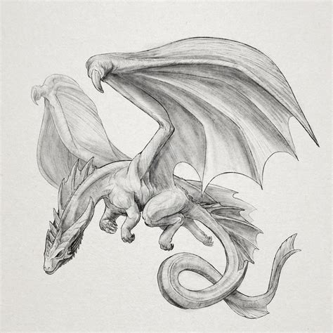 A Flying Dragon Fly Drawing Dragon Drawing Sketches
