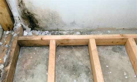 What To Do When Your Basement Floor Is Damp Smart Tips