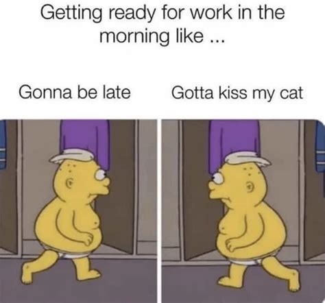 20 Purrfectly Hilarious Cat Memes That Will Have You Clawing For More