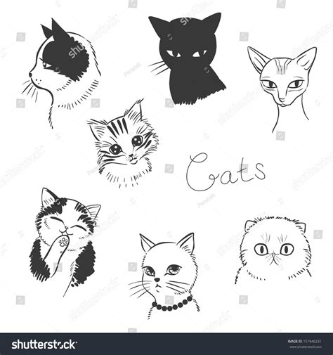 All of these cat face resources are for free download on pngtree. Cute Cats Vector Illustration Black White Stock Vector ...