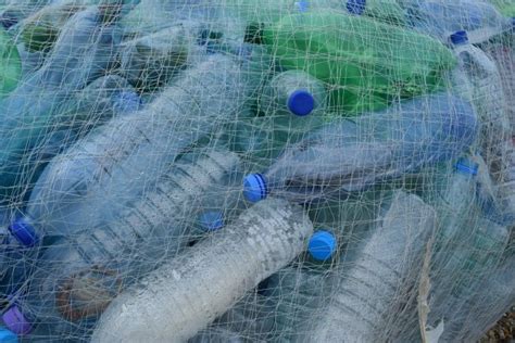 Microbes Are Eating The Oceans Plastic The Citizen