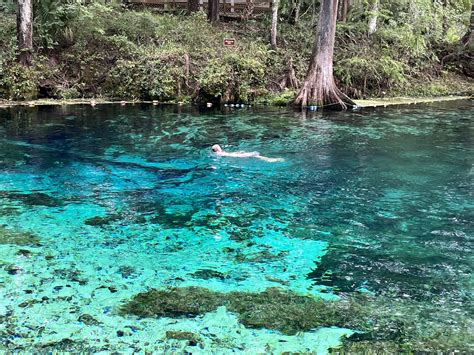 Beautiful Pictures | Page 69 | 2019+ Ford Ranger and Raptor Forum (5th