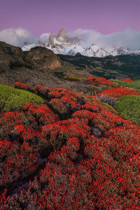 Patagonia Beautiful Landscapes Beautiful Nature Landscape