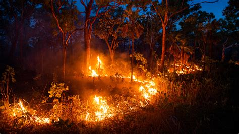 Reducing Fire And Cutting Carbon Emissions The Aboriginal Way The