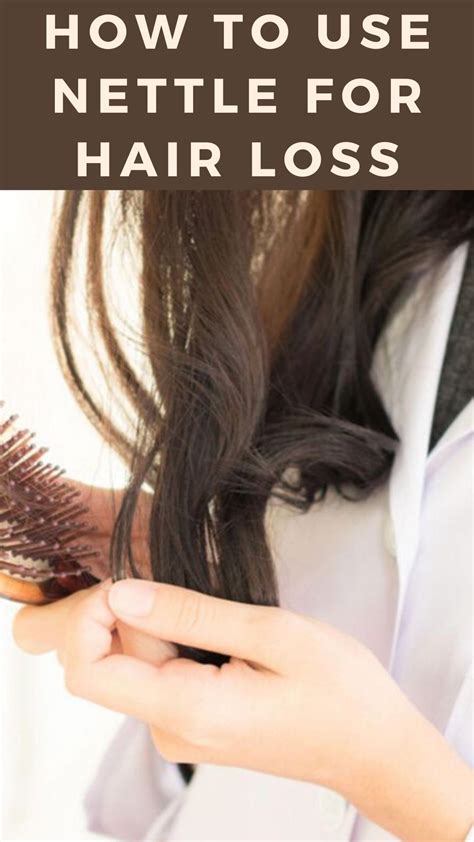 Hair tea in 3 easy steps: How To Use Nettle For Hair Loss in 2020 | Hair loss, Hair ...