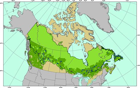 Boreal Forest Canada Map Black Sea Map