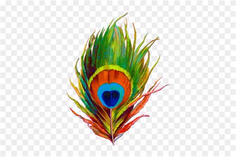 Discover and download free peacock png images on pngitem. Peacock Feather Png Designs Png Images - Peacock Feathers ...