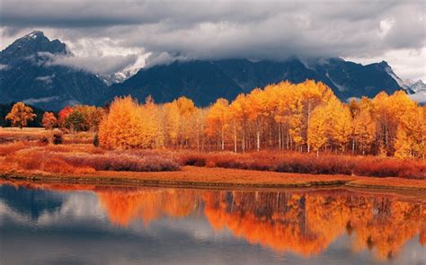 Beautiful Golden Autumn Landscape Wallpaper 02 Wallpapers