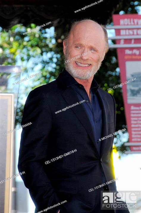 ed harris at the induction ceremony for star on the hollywood walk of fame for ed harris stock