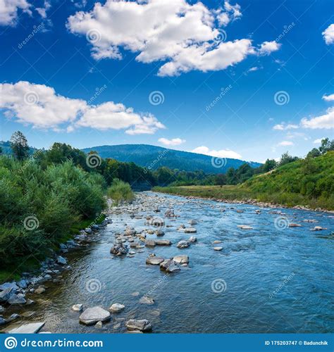 Photo Of Mountain River With Green Misty Thick Carpathian Forest At