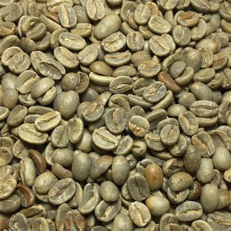 Fresh Roasted Coffee Llc Green Papua New Guinea Coffee Beans 25 Lb Bag