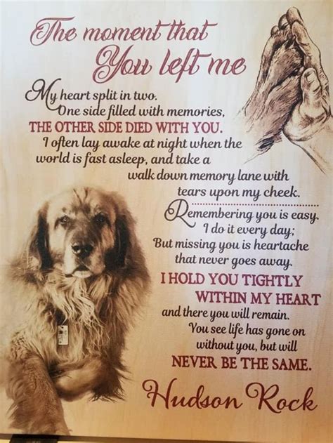 Pet Loss Poems For Dogs Peepsburghcom
