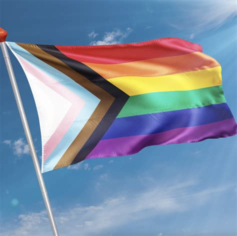 Vlag LGBT Pride Kopen Snelle Levering 8 7 Klantbeoordeling