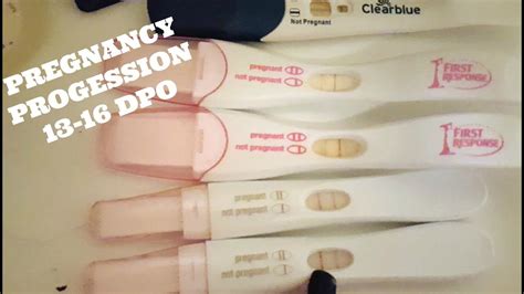 Pregnancy Test Progession 13 16 Dpo Baby 2 Youtube