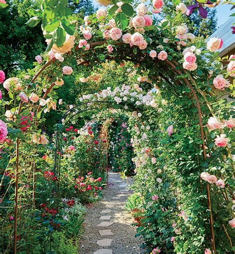 Create A Beautiful Rose Garden Rose Garden Design Flower Garden