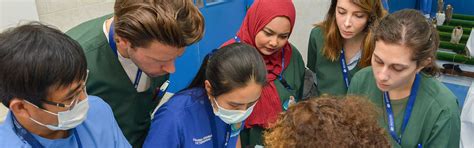 Veterinary Students and Graduated Veterinarians | Abu Dhabi Falcon Hospital