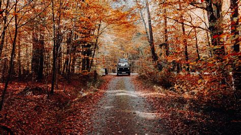 Download Wallpaper 3840x2160 Forest Road Car Autumn Nature 4k Uhd 169 Hd Background