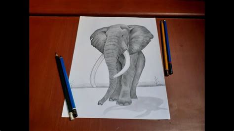 Como Dibujar Sencillo Elefante Realista Fácil Del Hacer How To Draw