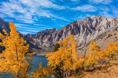 Best Places To See Fall Foliage In California