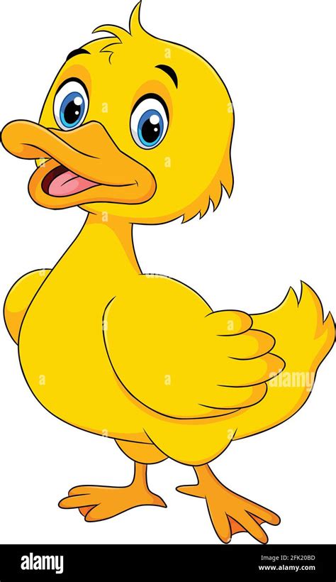 Cartoon Duck High Resolution Stock Photography And Images Alamy