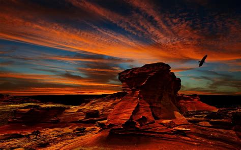 Wallpaper Sunlight Landscape Colorful Birds Sunset Sea Rock