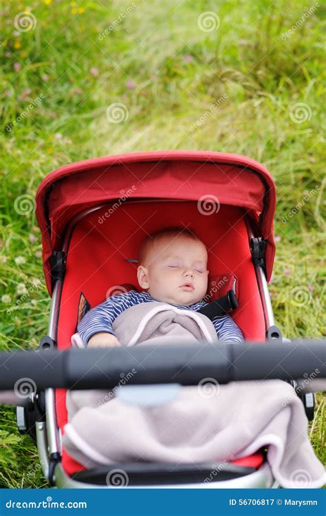 Baby Sleeping In Stroller Stock Image Image Of Child 56706817