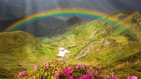 Beautiful Flower Mountain Rainbow Nature Images Gamer 4 Everbr