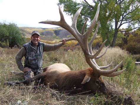 Colorado Trophy Elk Hunts At Bull Basin Ranch Colorado Trophy Bull Elk
