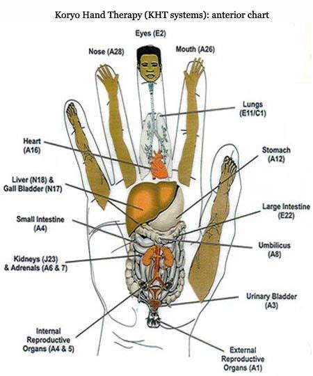 Acupressure Hand Points And Chart Hand Therapy Hand Reflexology