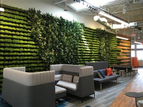 Biophilic Design Elements Can Increase Productivity In The Workplace