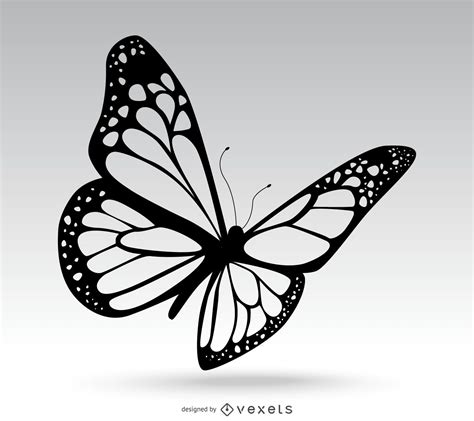 Isolated Butterfly Drawing Vector Download