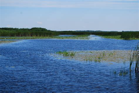 Wetlands Fi Mn Board Of Water Soil Resources