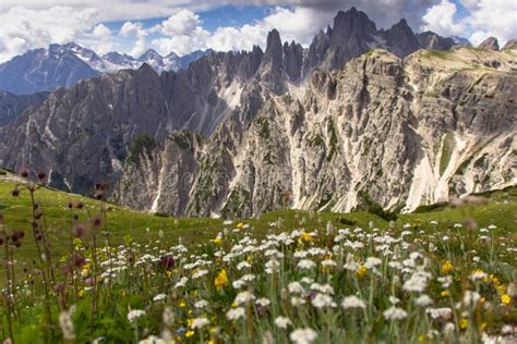 Incredible Nature Landscape In Dolomites Alps Spring Blooming Meadow