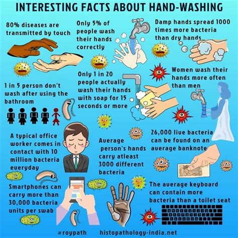 Interesting Hand Washing Facts Yew Tree Dental Surgery