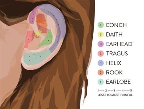 Ear Piercing Pain Chart Ear Piercing Guide Ear Piercings Chart Ear Piercings